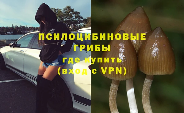 спиды Алзамай