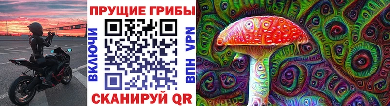 kraken как зайти  Николаевск-на-Амуре  Галлюциногенные грибы ЛСД 